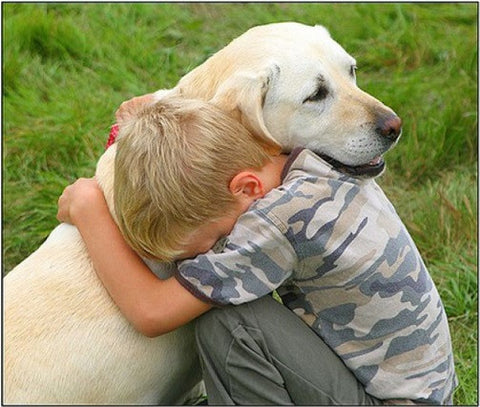 How PETS BENEFIT Your Child's Health & Heal Emotional trauma