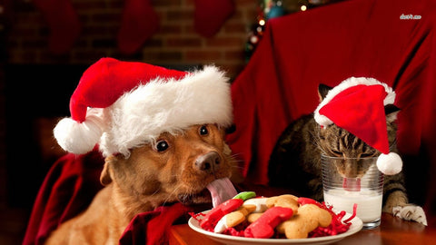 Be Prepared For The HOLIDAYS Package for CATS & DOGS